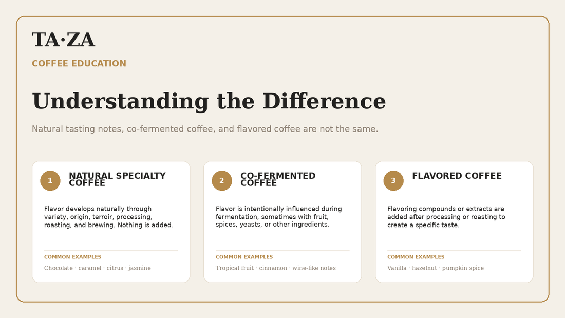 Understanding Coffee Tasting Notes: A Beginner’s Guide to Flavor