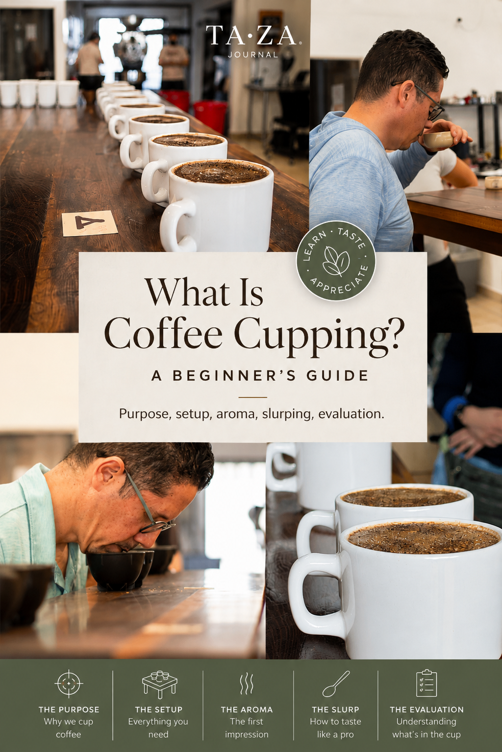 What Is Coffee Cupping? A Beginner's Guide to Professional Coffee Tasting
