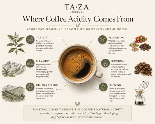 Understanding Coffee Acidity: Why Brightness Is One of Specialty Coffee's Most Misunderstood Qualities.