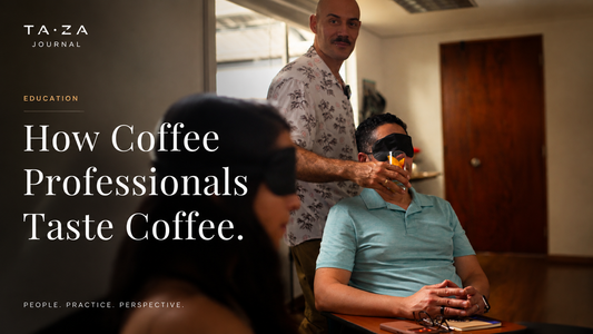 How Coffee Professionals Taste Coffee